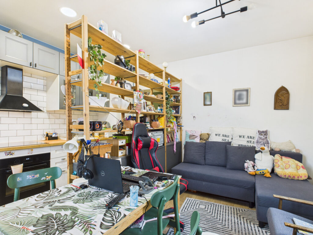 Przytulne studio z kuchnią, biurkiem i szarą sofą