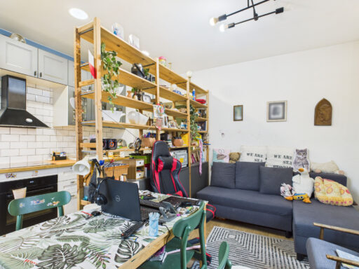 Przytulne studio z kuchnią, biurkiem i szarą sofą
