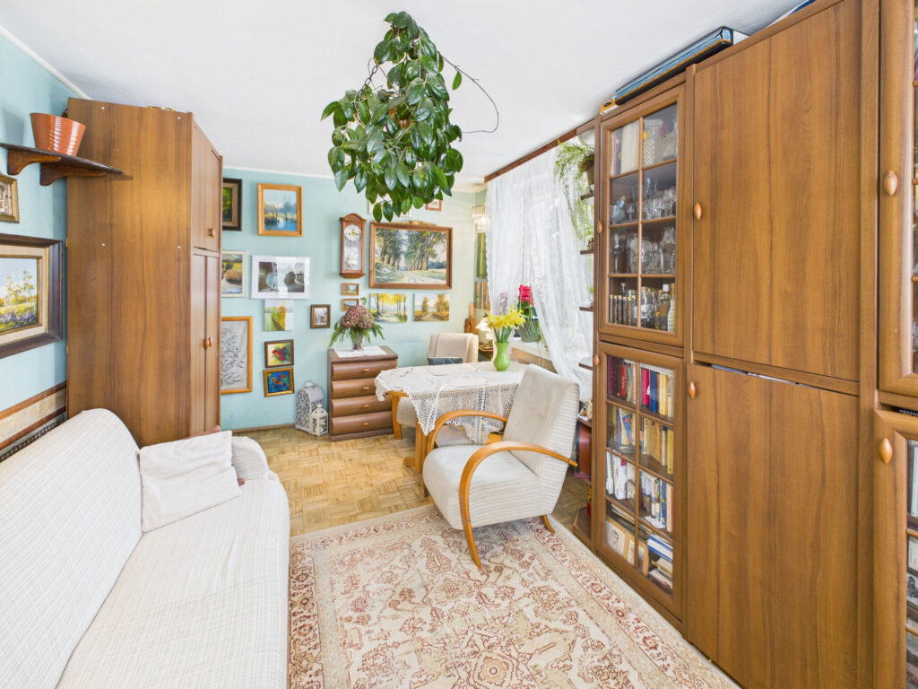 Przytulny salon z drewnianymi meblami i rośliną