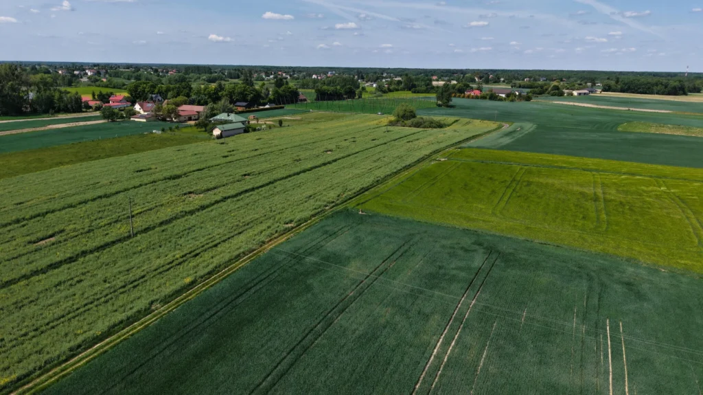 Widok z lotu ptaka na zielone pola i wieś