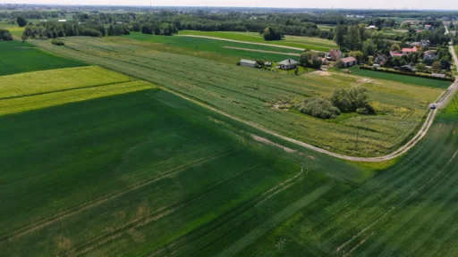 Widok z drona na zielone pola i domy