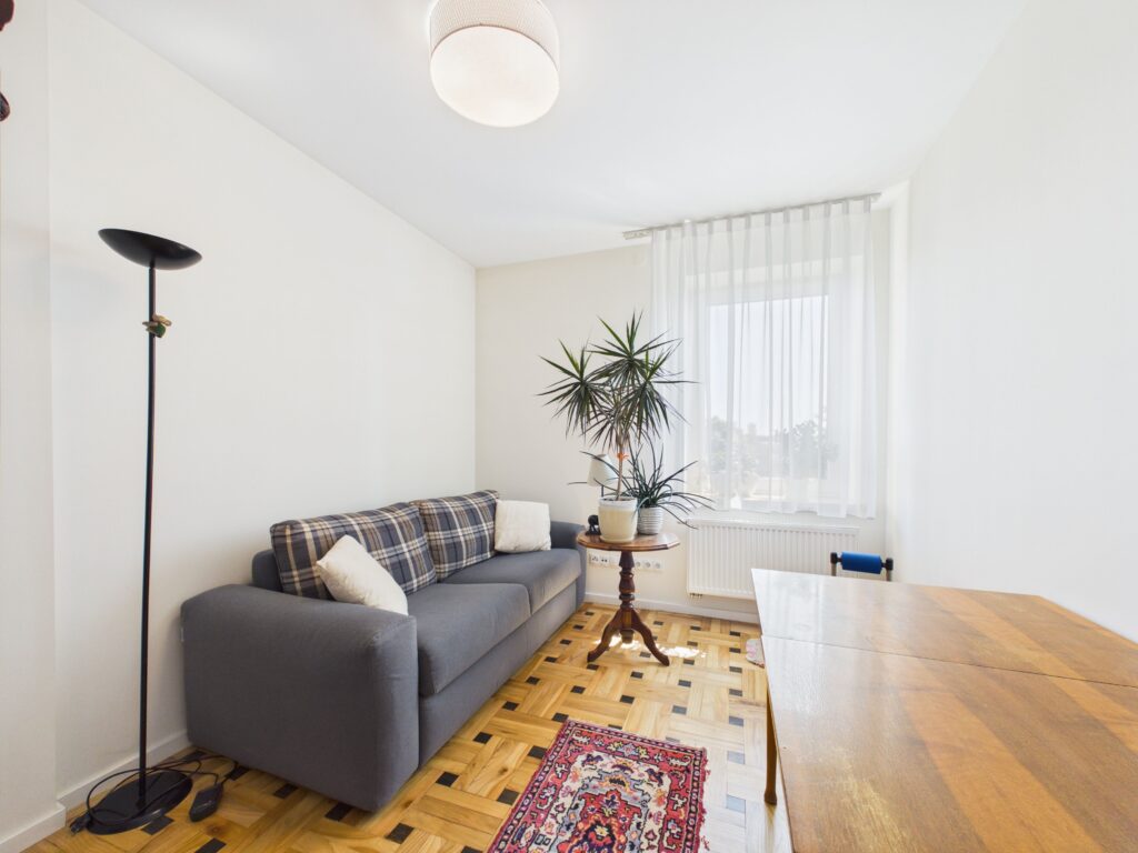 Jasny salon z szarą sofą i rośliną