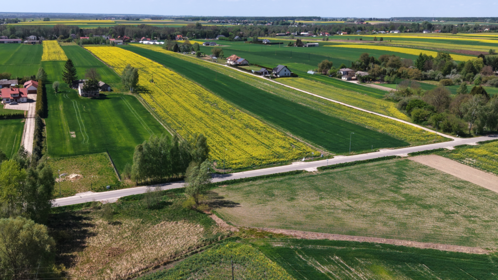 Widok z lotu ptaka na pola rzepaku i wieś