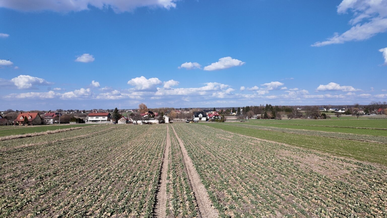 Pola uprawne i wieś pod błękitnym niebem