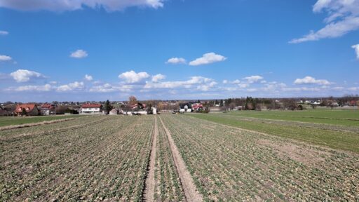 Pola uprawne i wieś pod błękitnym niebem